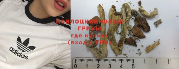 PSILOCYBIN Абинск