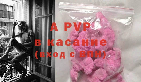 круглые Абаза